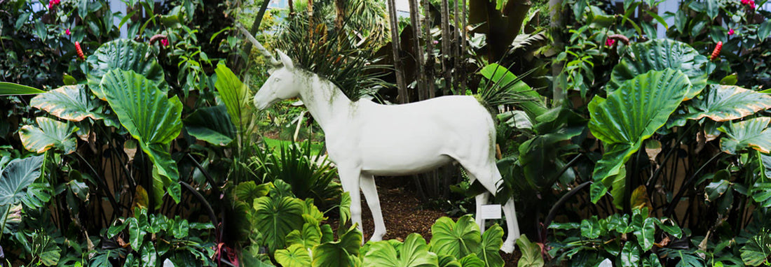 Unicorn-Naming-Competition-Plant-the-Future-Miami-Beach-Botanical-Gardens-Partnership PLANT THE FUTURE