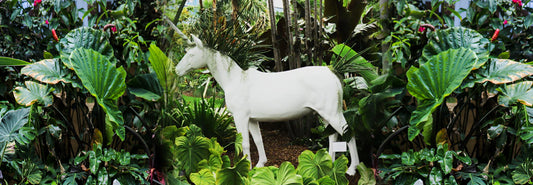 Unicorn-Naming-Competition-Plant-the-Future-Miami-Beach-Botanical-Gardens-Partnership PLANT THE FUTURE