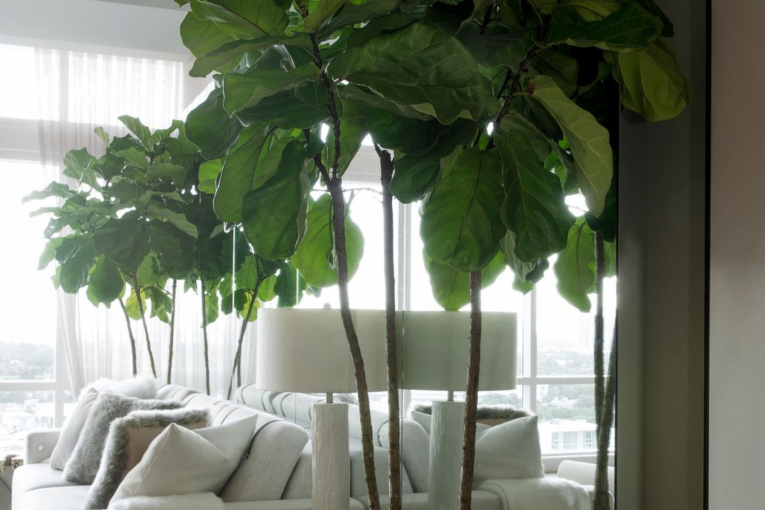 A closer look at Adding Texture To Interior Design With Plants