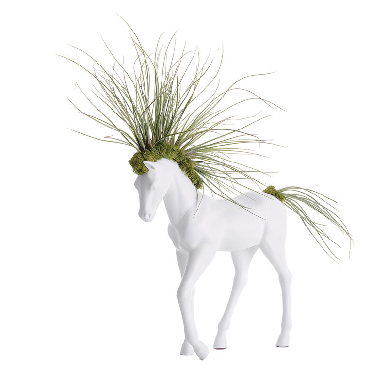 Unique Plant Gifts That Can Be Shipped Anywhere in the US