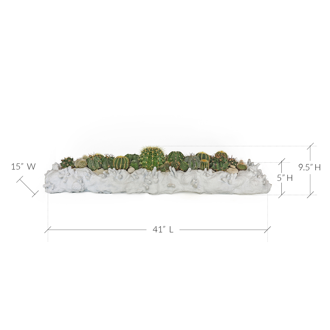 Julieta Teppa  - One of a Kind Coralium Papier-Mâché White No.4 Trough Cactus