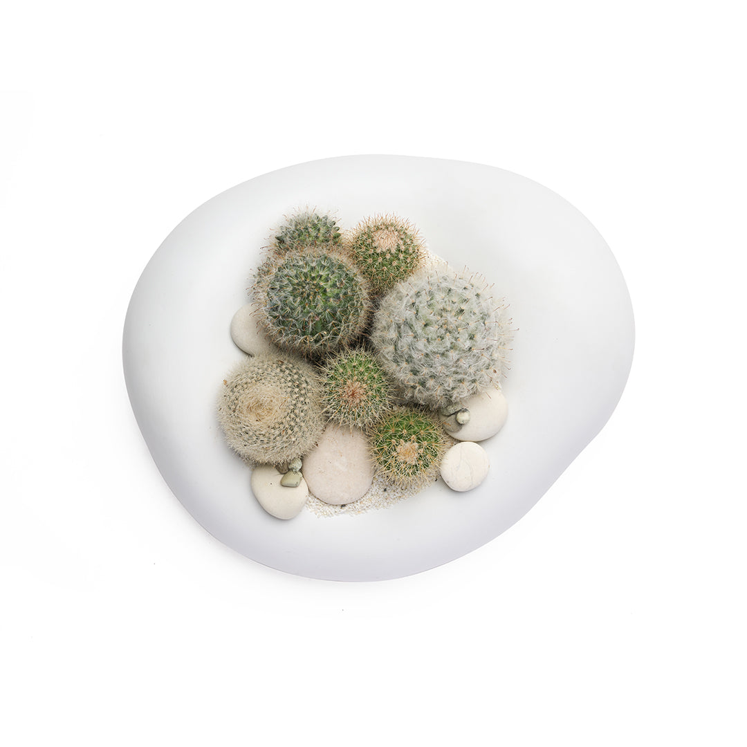 Ceramic Balloon Bowl White  Low Garden