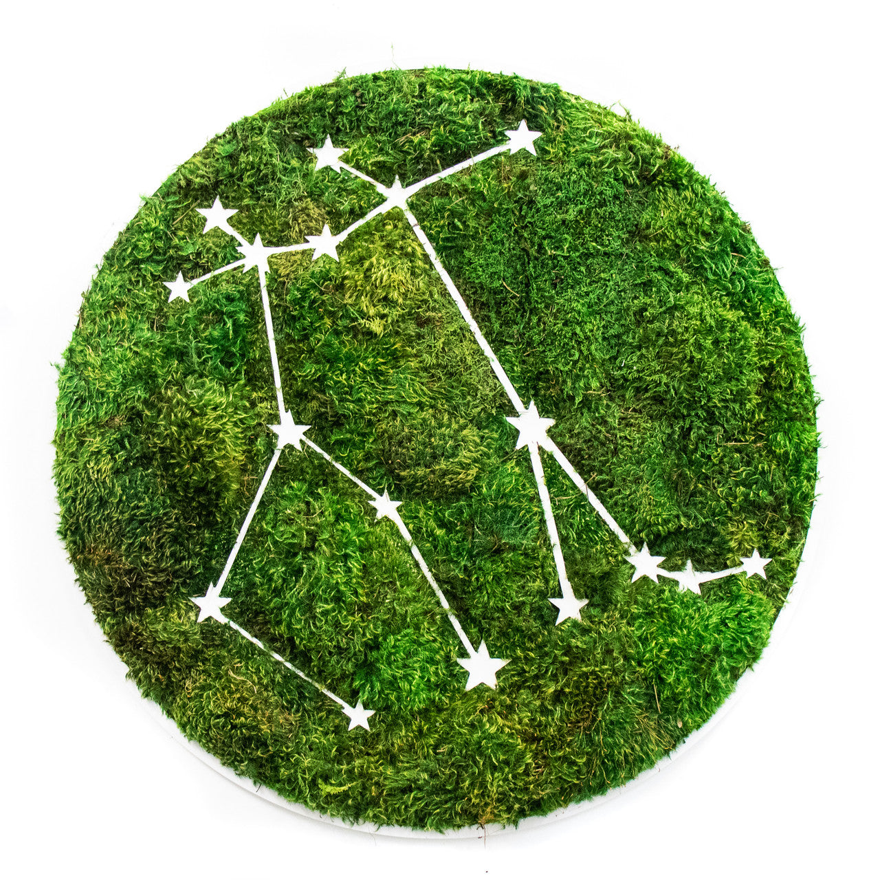 Zodiac Collection - Moss Constellations