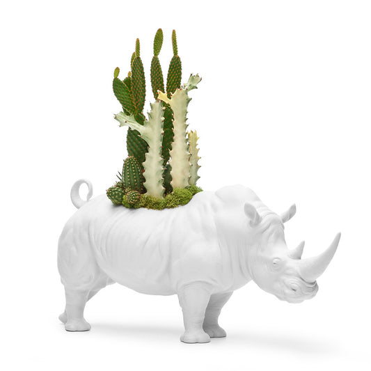 Lladró Porcelain - Rhino