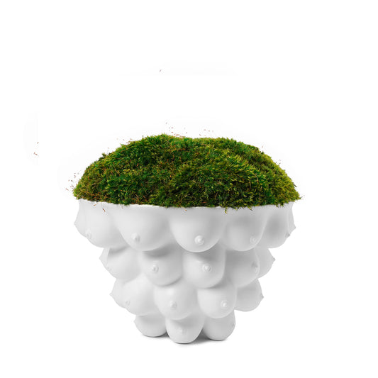 Jonathan Adler -  Georgia Centerpiece Bowl