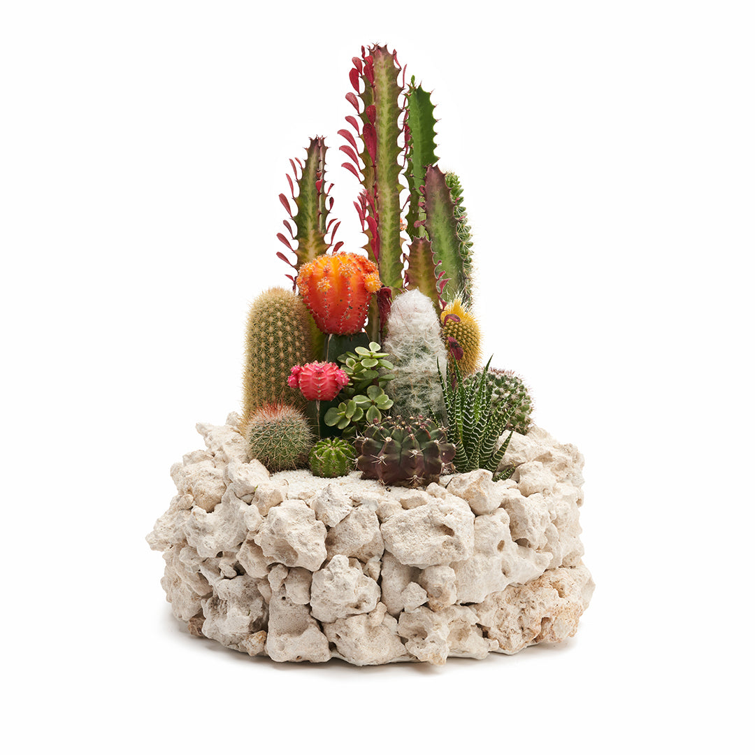 Keystone Garden 15"