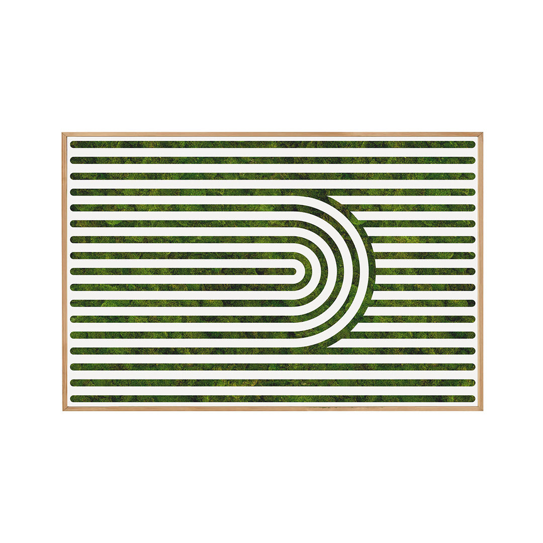 Moss Art - Optical Series No. 004 (6'x 4')