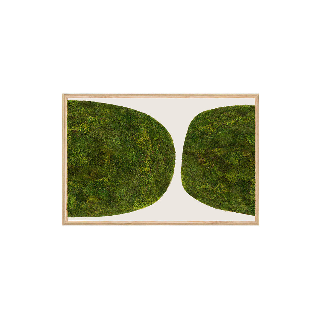 Moss Art - Abstract Series No. 046 (3' x 2')