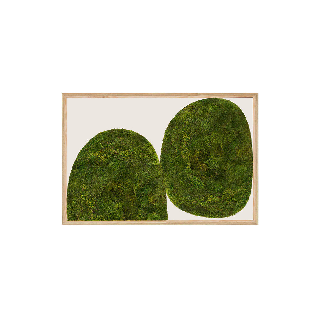 Moss Art - Abstract Series No. 044 (3' x 2')
