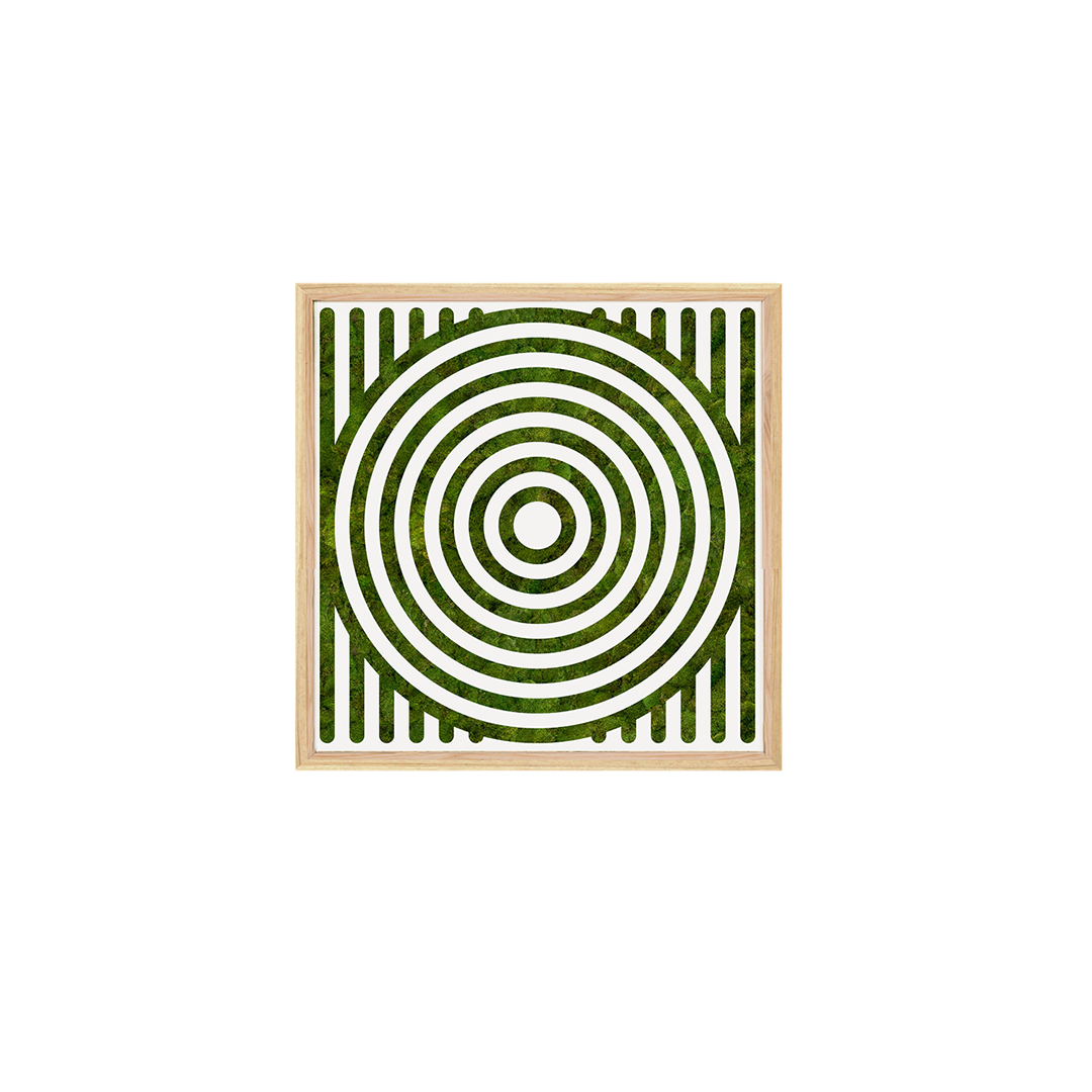 Moss Art - Optical Series No. 012 (2' x 2')