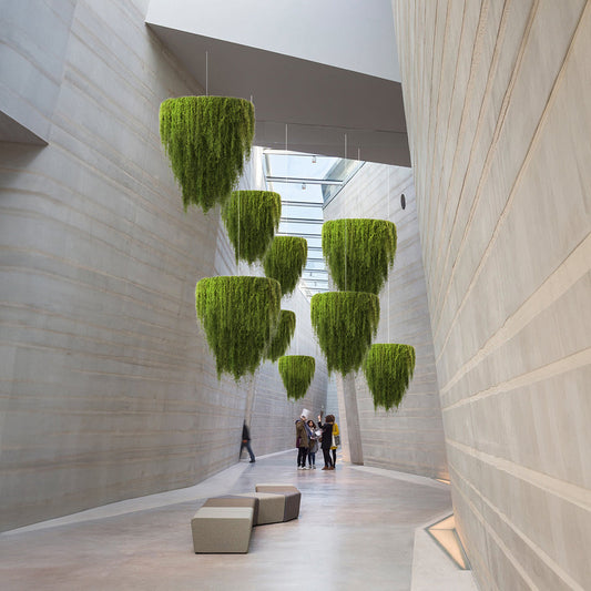 Hanging Moss Decor - Preserved Natural Moss – PLANT THE FUTURE