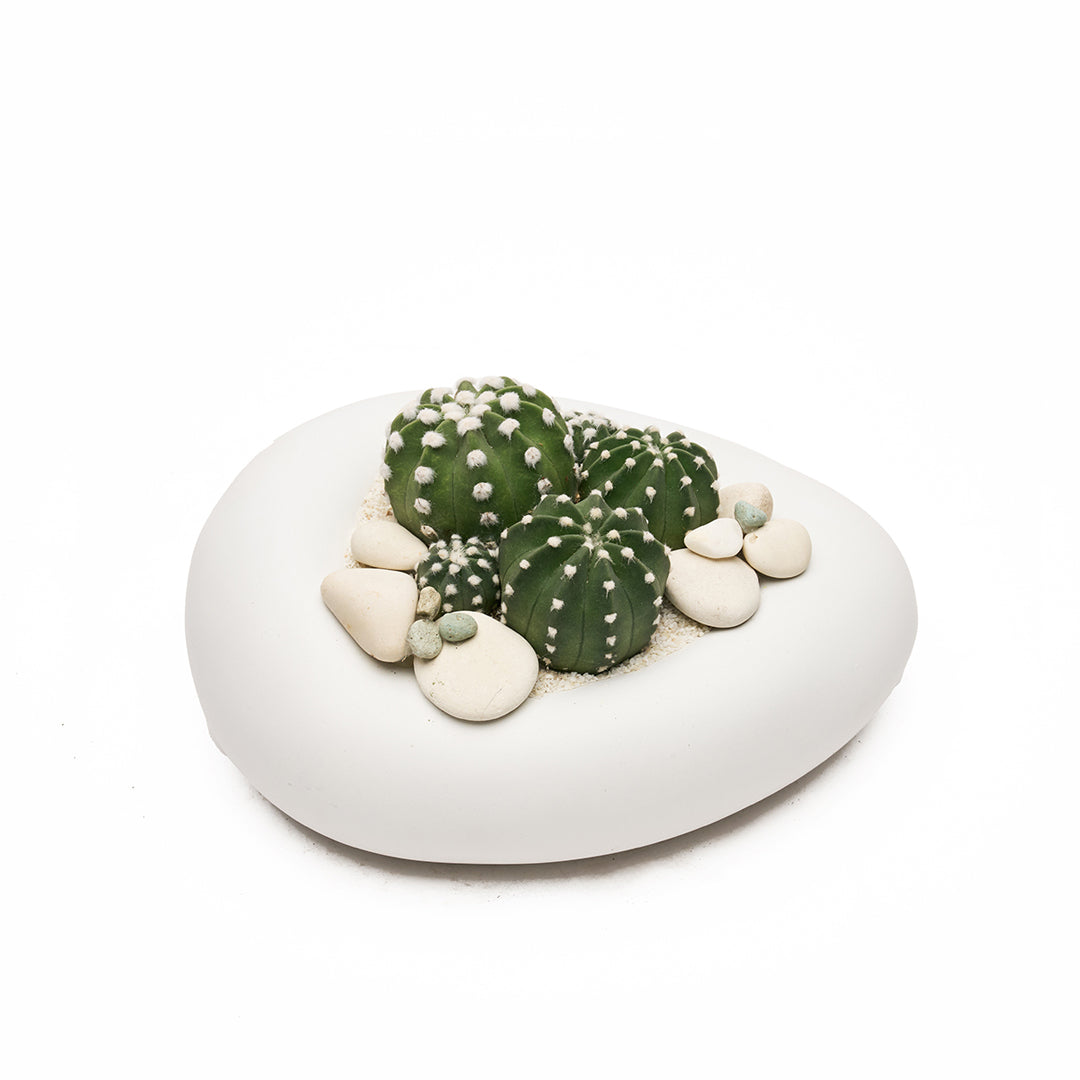 Ceramic Balloon Bowl White  Low Garden