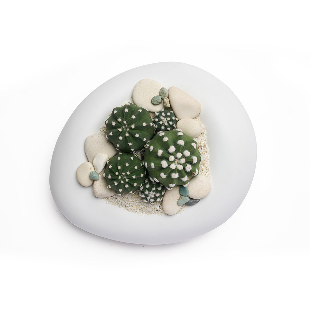 Ceramic Balloon Bowl White  Low Garden