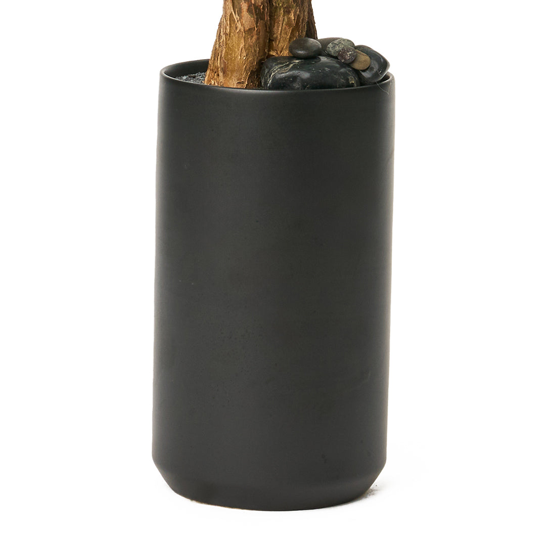 Germany Black Mini Tall - Money Tree