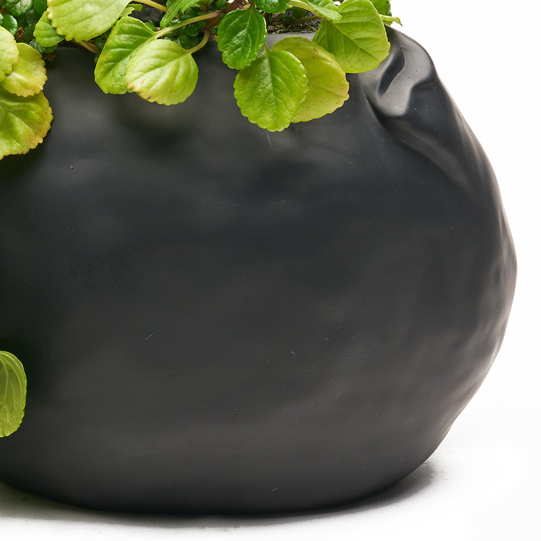 Ceramic Petale Vase Black - Peperomia