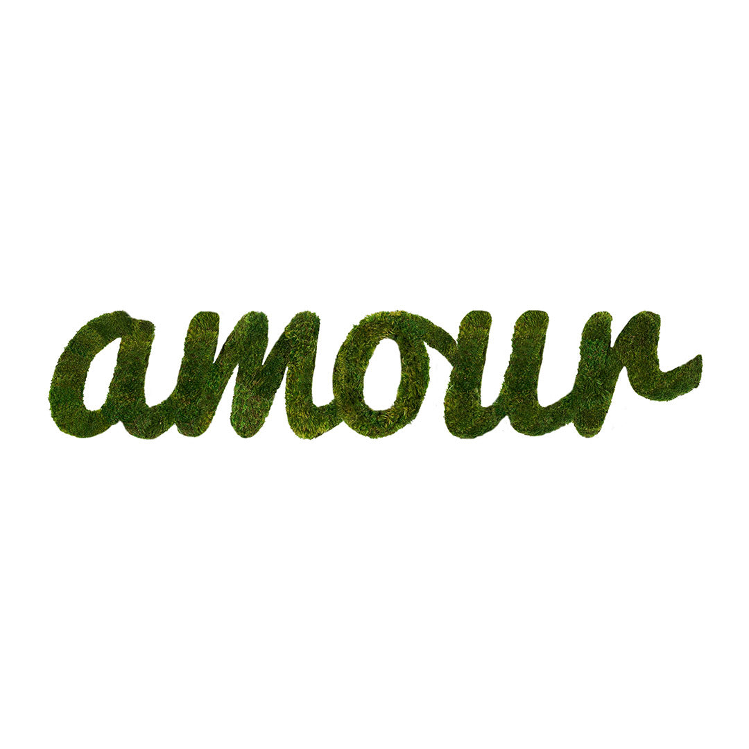 Amour Cursive Mon Amour Script Font | Webfont & Desktop | MyFonts