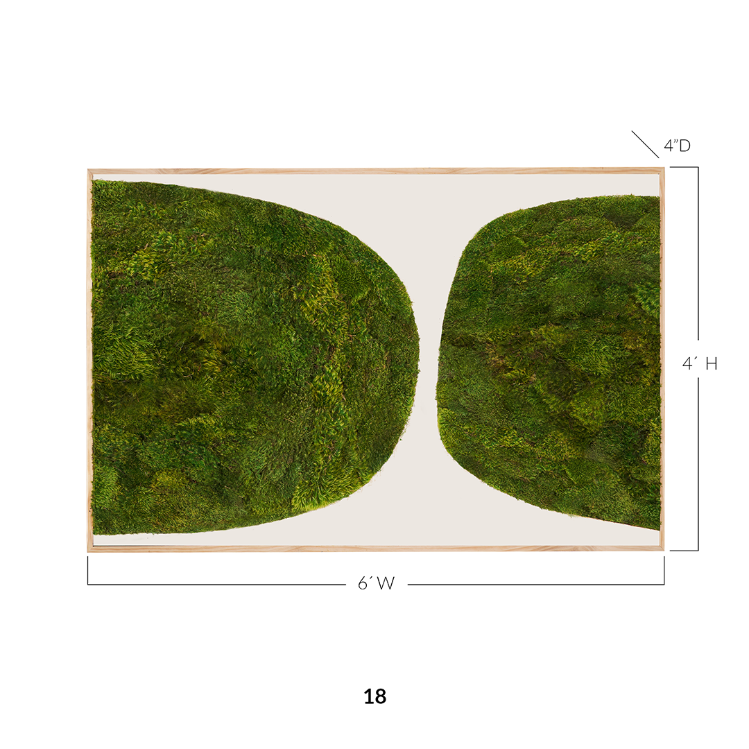 Moss Art - Abstract Series No. 025 (6' x 4') 