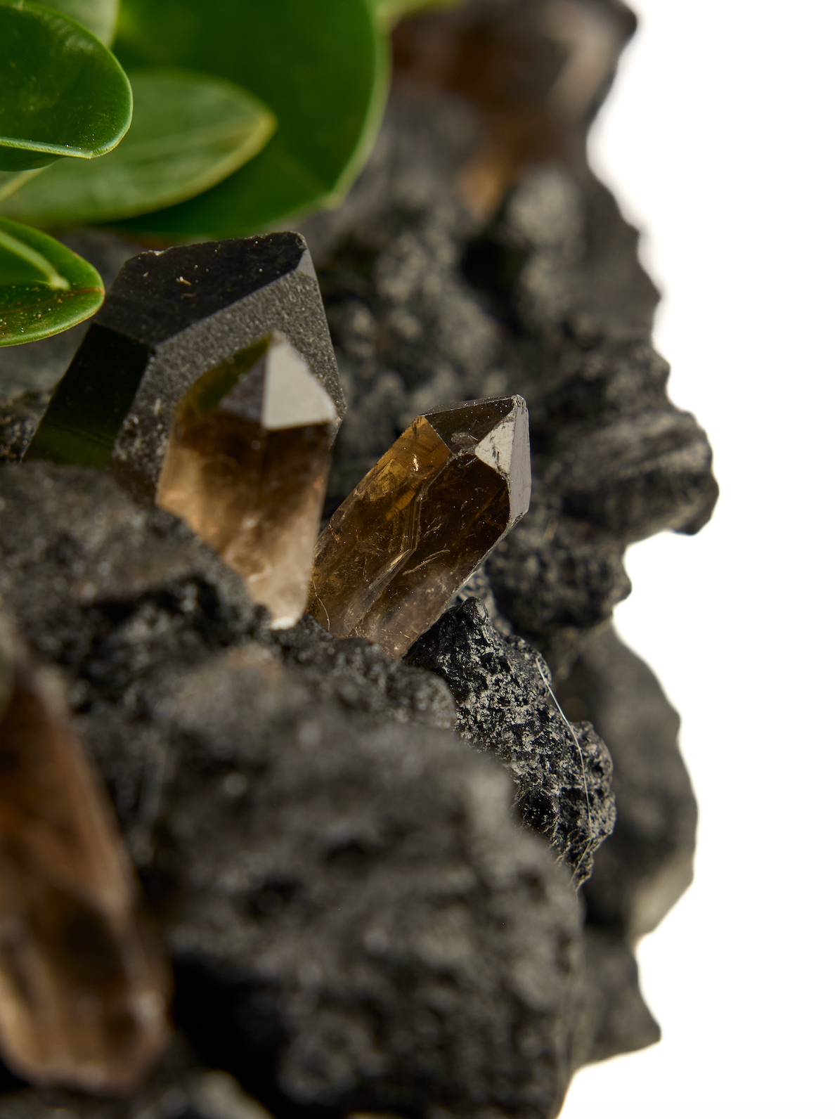 Black Keystone Trough w/ Smoky Quartz with Foliage PLANT THE FUTURE