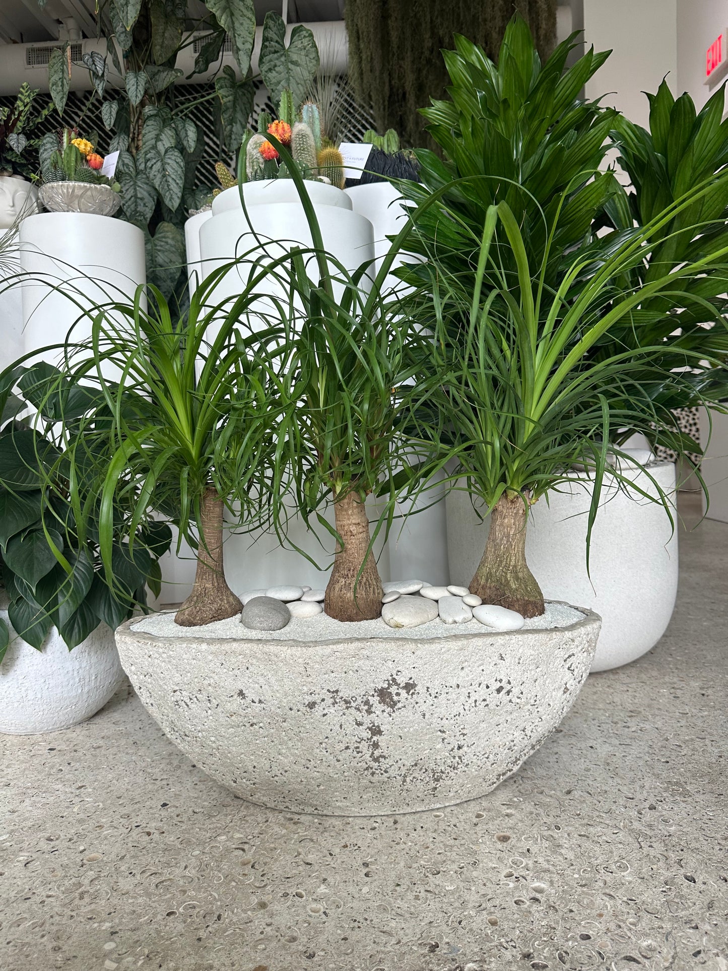 Fibercement Boat Shape Ivory w/ Foliage Roots, LLC