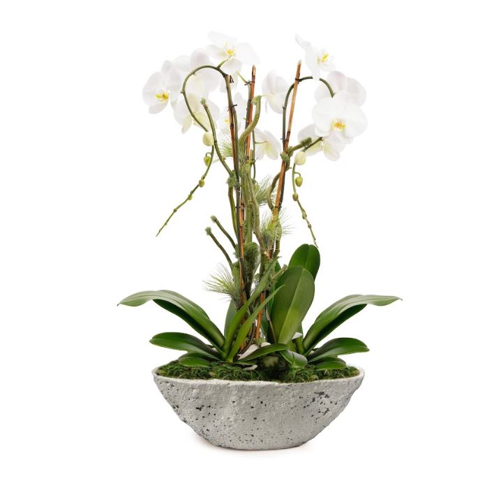 Fibercement Boat Shape Ivory w/ Foliage/Orchid Plant The Future
