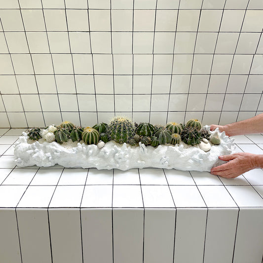 Julieta Teppa  - One of a Kind Coralium Papier-Mâché White No.4 Trough Cactus