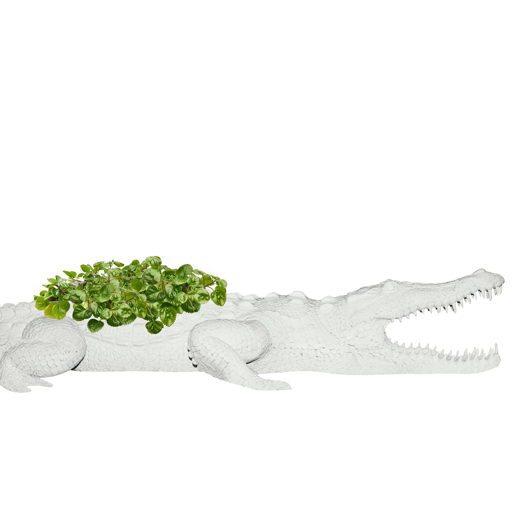 Life Size Animal - Crocodile Large