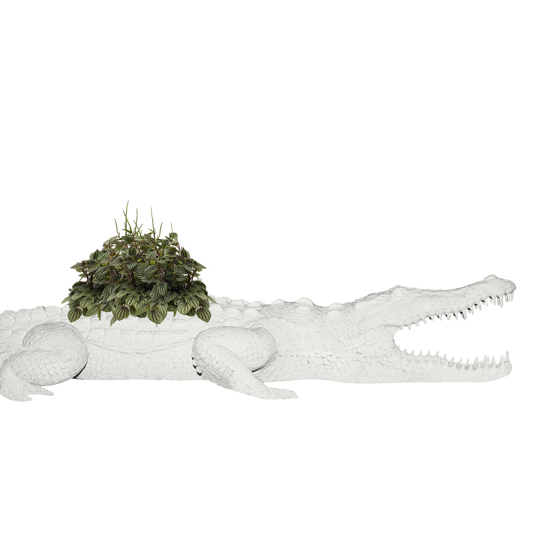 Life Size Animal - Crocodile Large