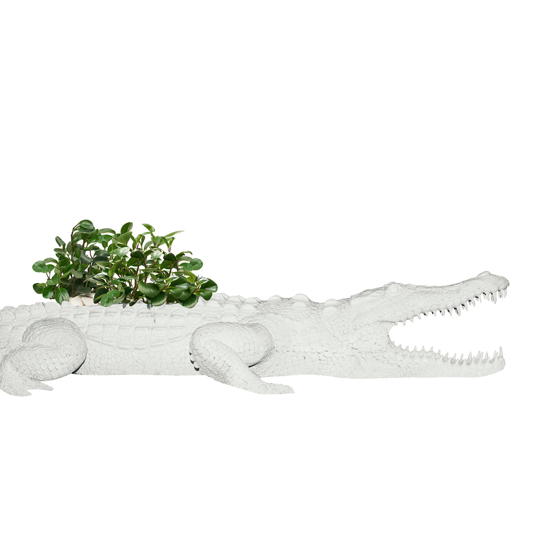 Life Size Animal - Crocodile Large