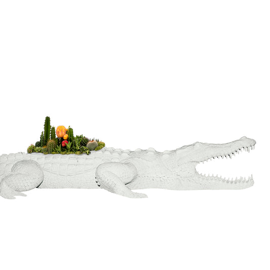 Life Size Animal - Crocodile Large