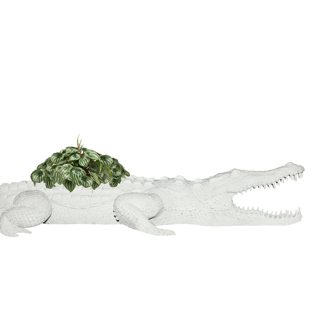 Life Size Animal - Crocodile Large