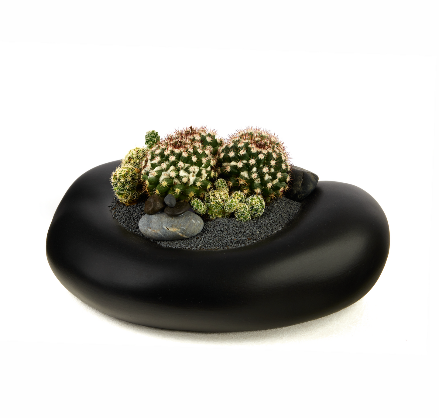 Ceramic Balloon Bowl Low Garden PLANT THE FUTURE