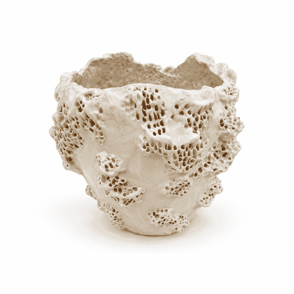Coral Vase 2 by Julieta Teppa