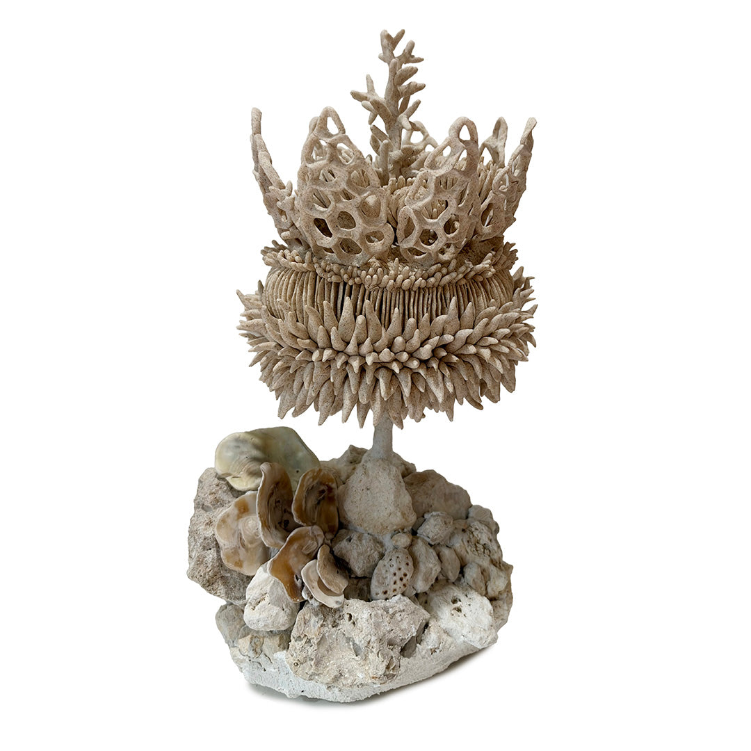 Crown of the Ocean by Florencia Echeverria