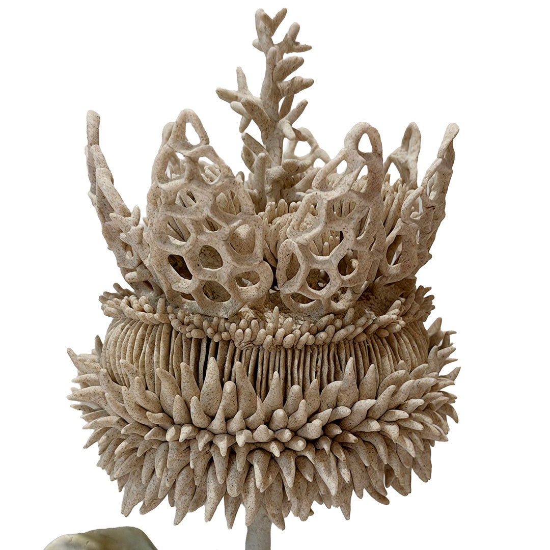 Crown of the Ocean by Florencia Echeverria