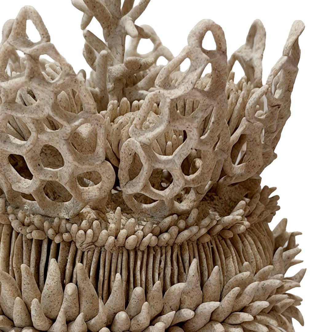 Crown of the Ocean by Florencia Echeverria