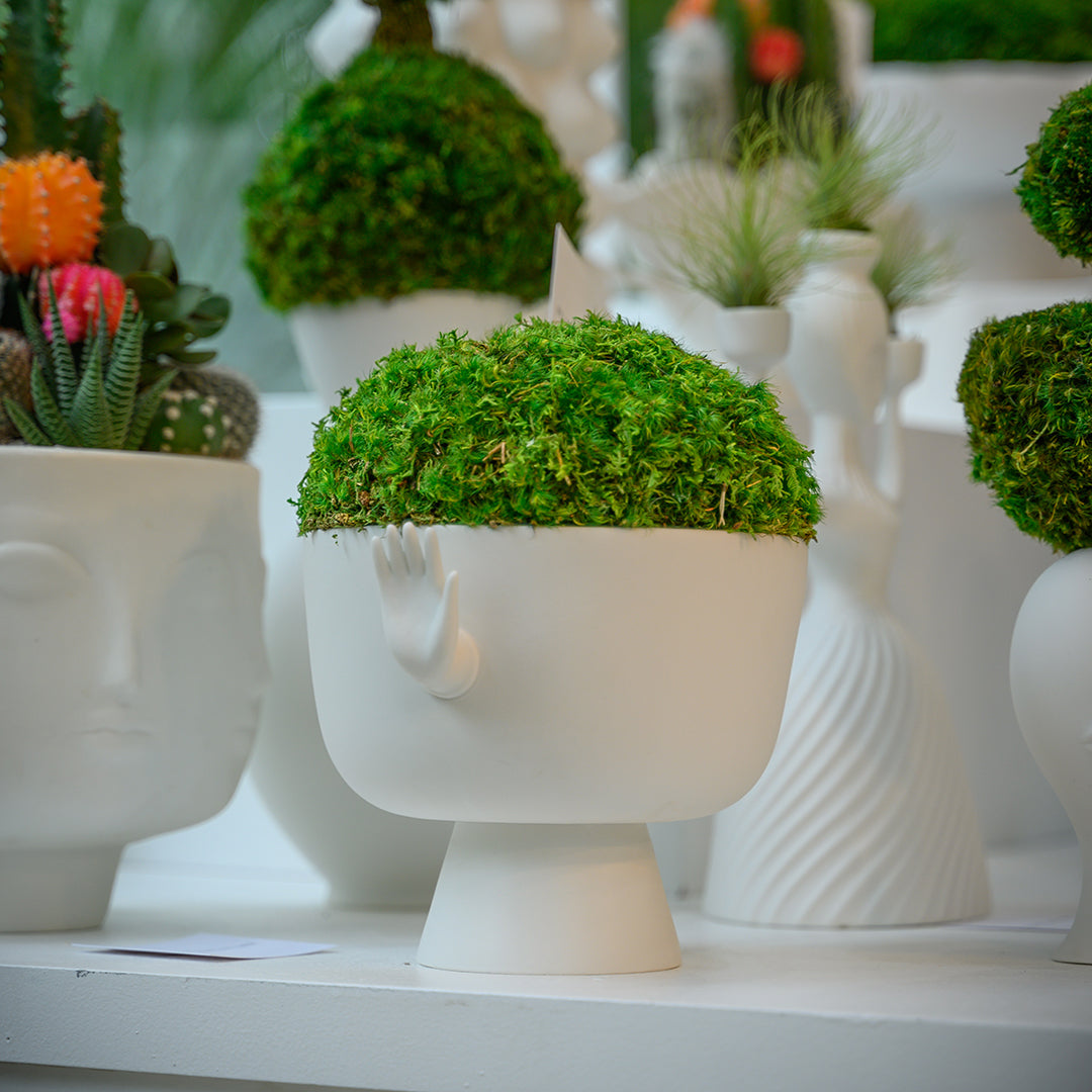 Jonathan Adler - Eve Pedestal Bowl Moss I Plant the Future