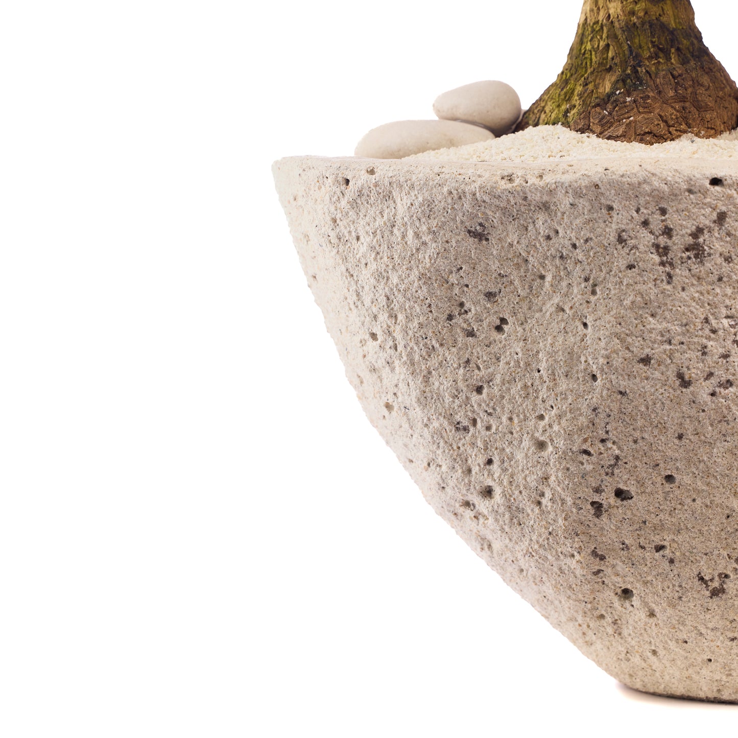 Fibercement Boat-Shape Medium (L22" H8") - Foliage Plant The Future