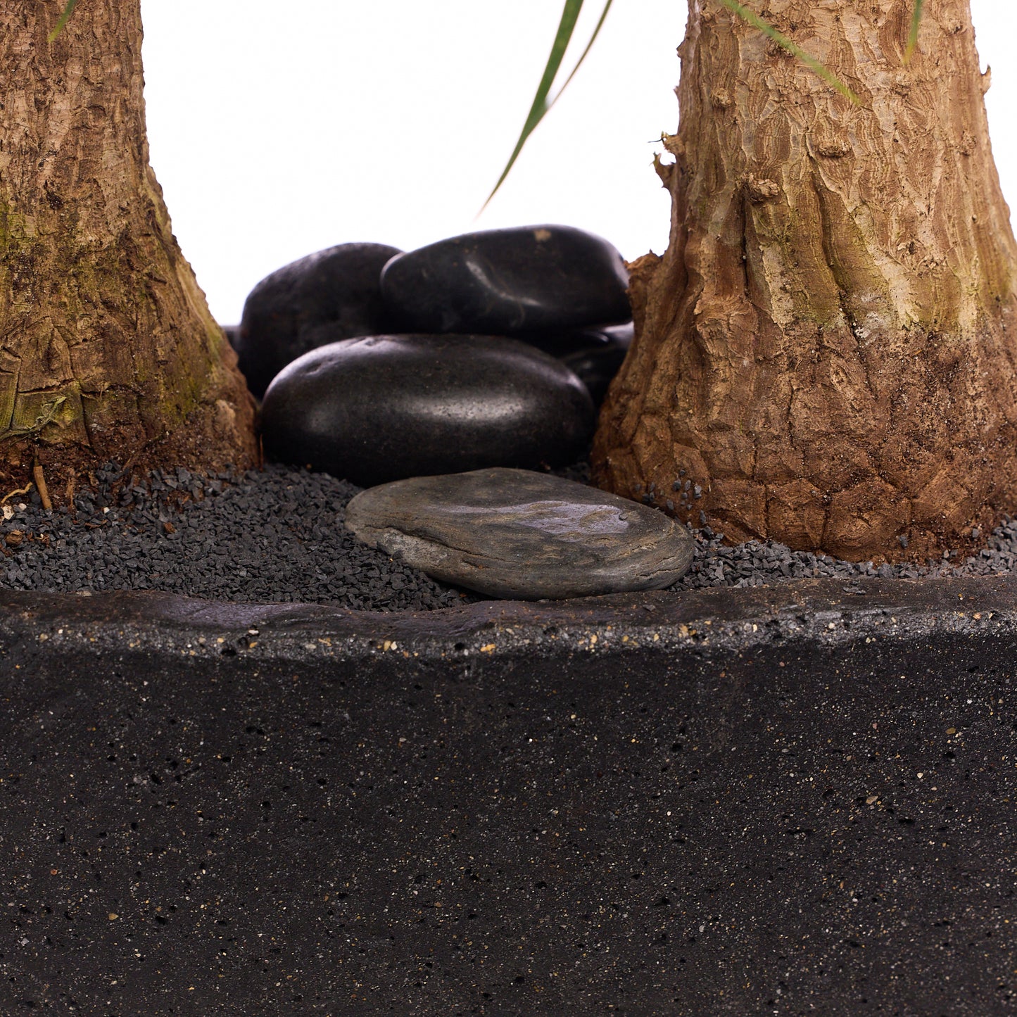 Fibercement Boat-Shape Small (L18" H7") - Foliage Plant The Future