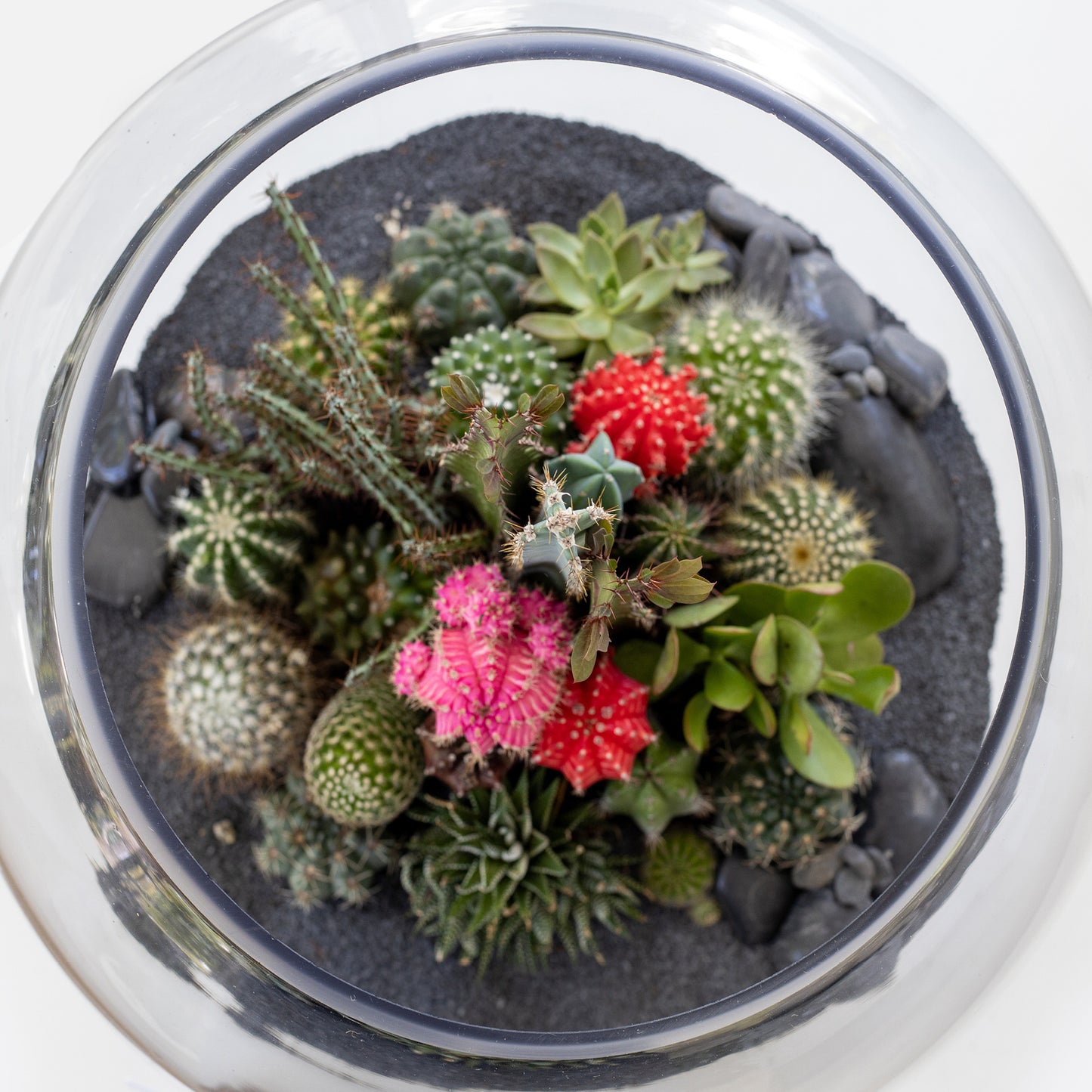 Fishbowl Glass Terrarium - Black