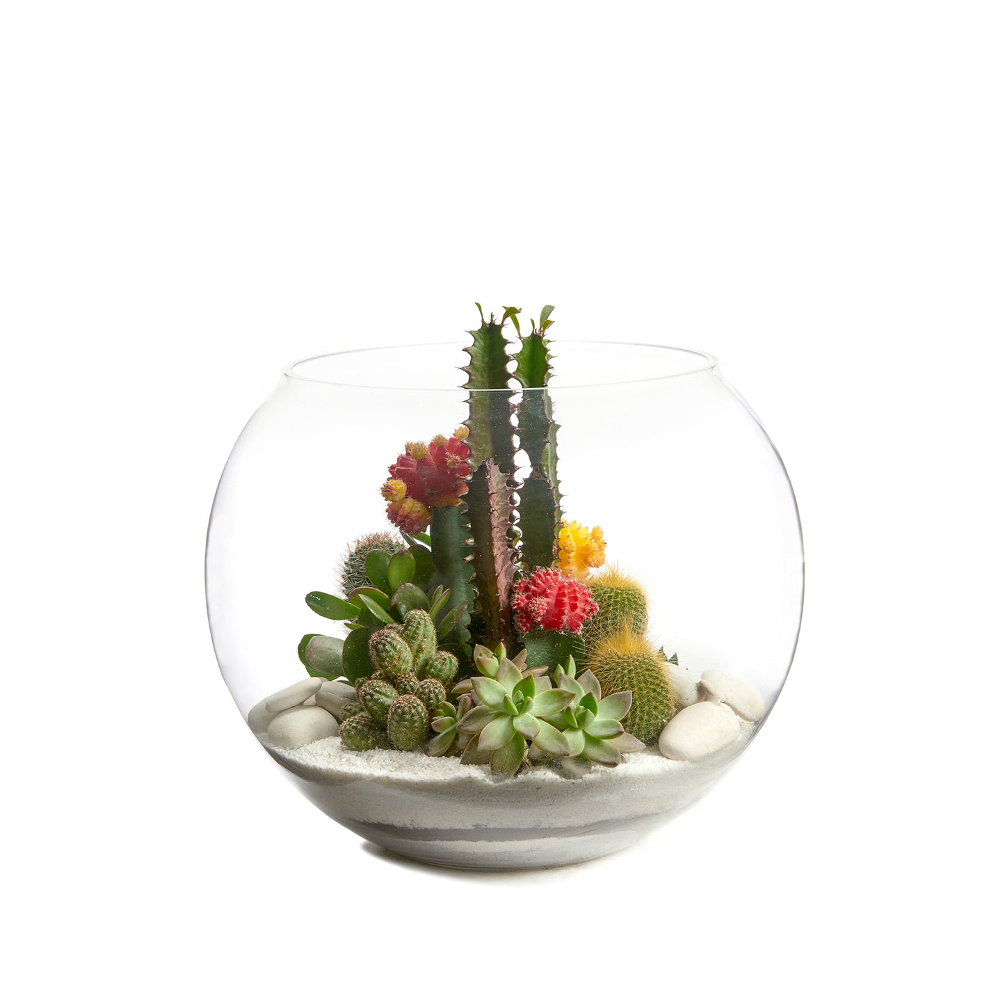 Fishbowl Glass Terrarium - White
