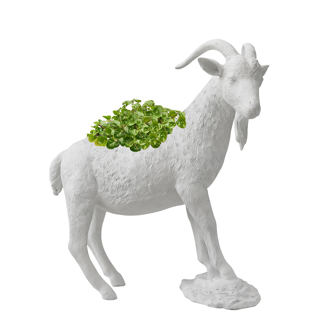 Life Size Animal - G.O.A.T II