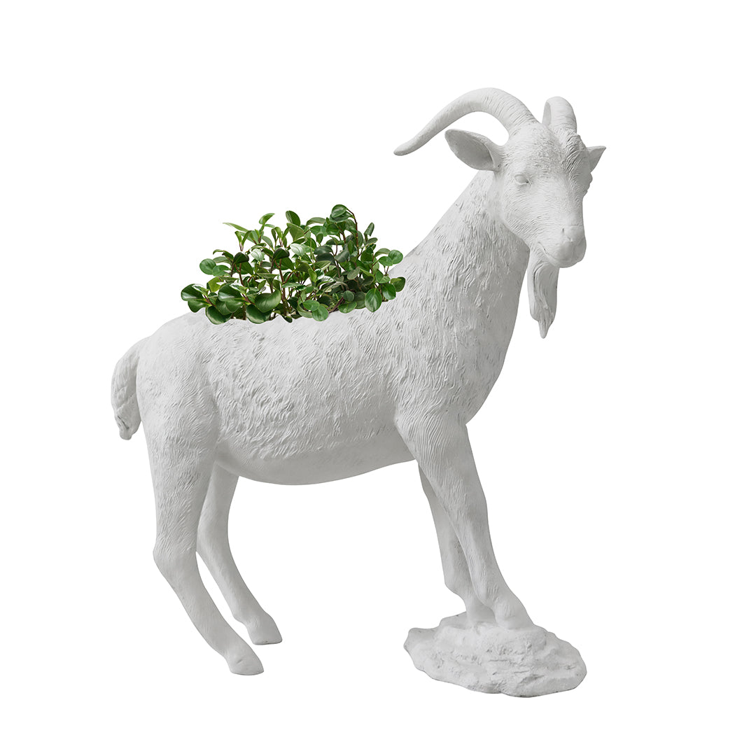 Life Size Animal - G.O.A.T II