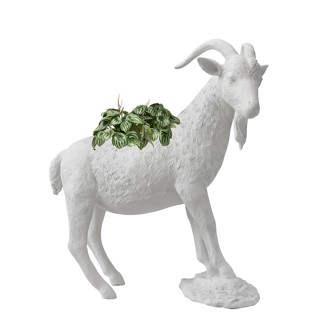 Life Size Animal - G.O.A.T II