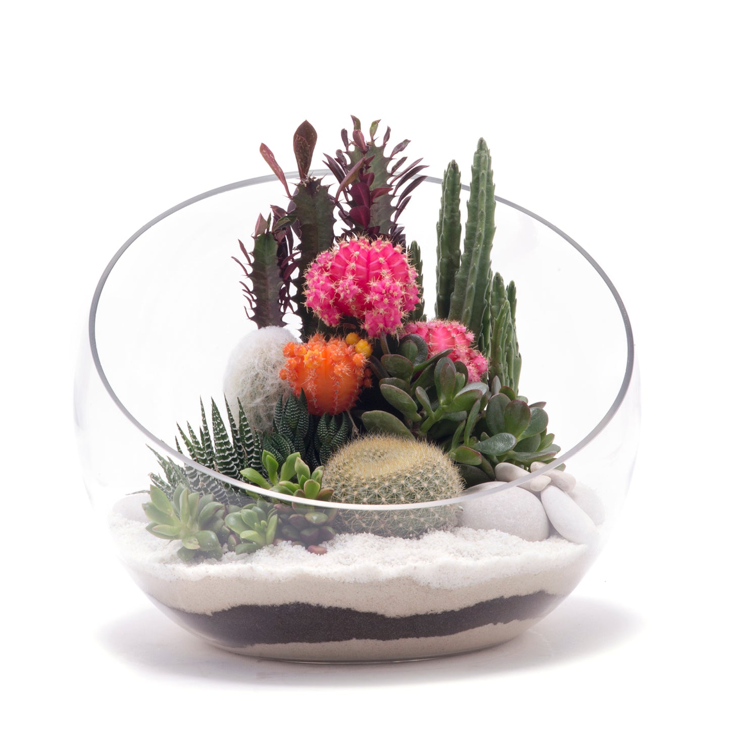 Half Moon Glass Terrarium - White