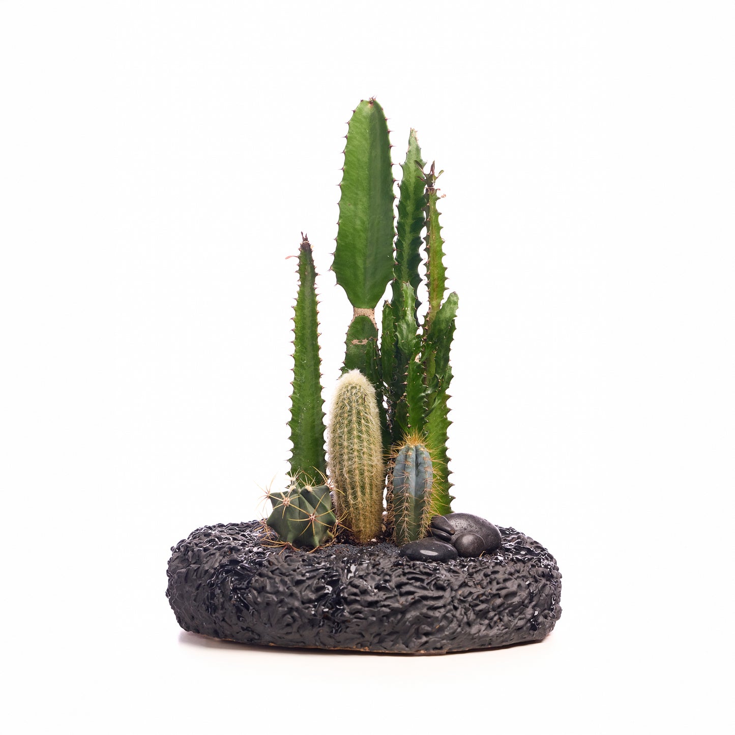 Handmade Ceramic - Consu Collection - Garden - Medium D11"-13" PLANT THE FUTURE