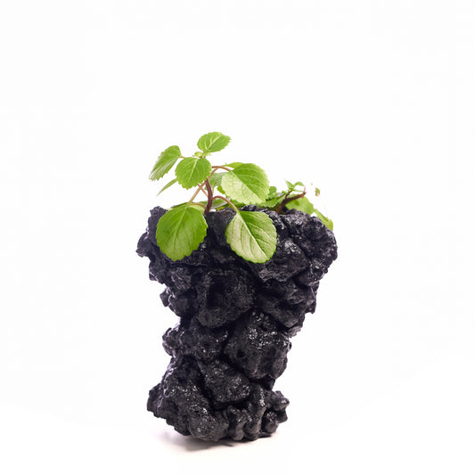 Handmade Keystone Vase - Black with Foliage PLANT THE FUTURE