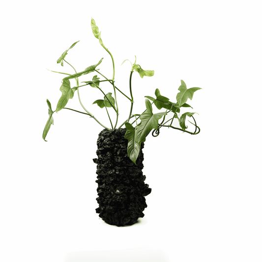 Handmade Keystone Vase Black with Philodendron | Plant the Future
