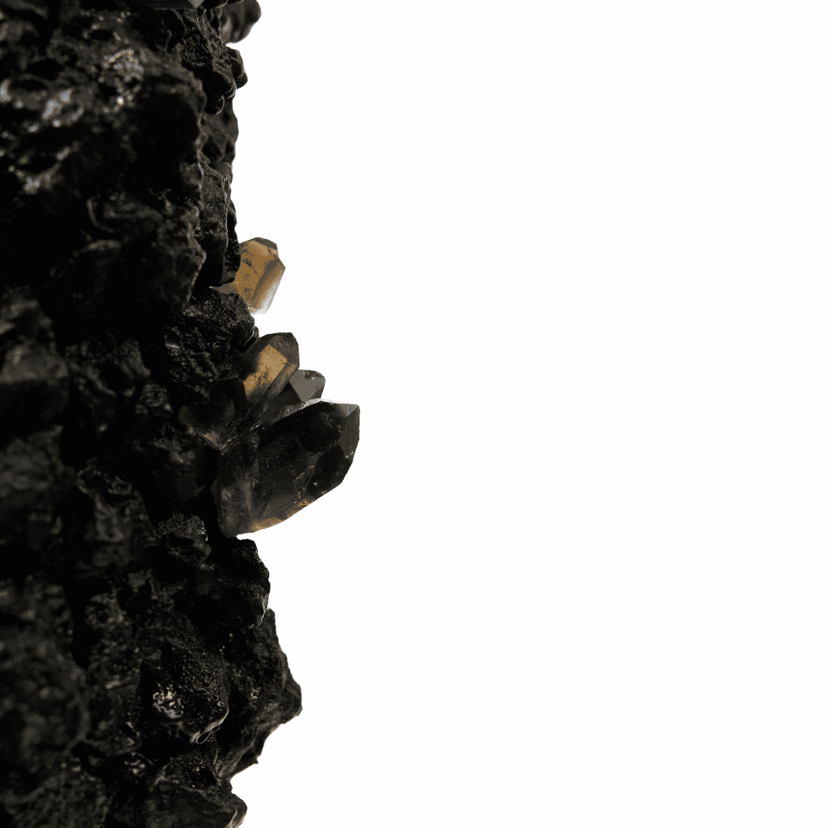 Handmade Keystone Vase Black with Philodendron | Plant the Future