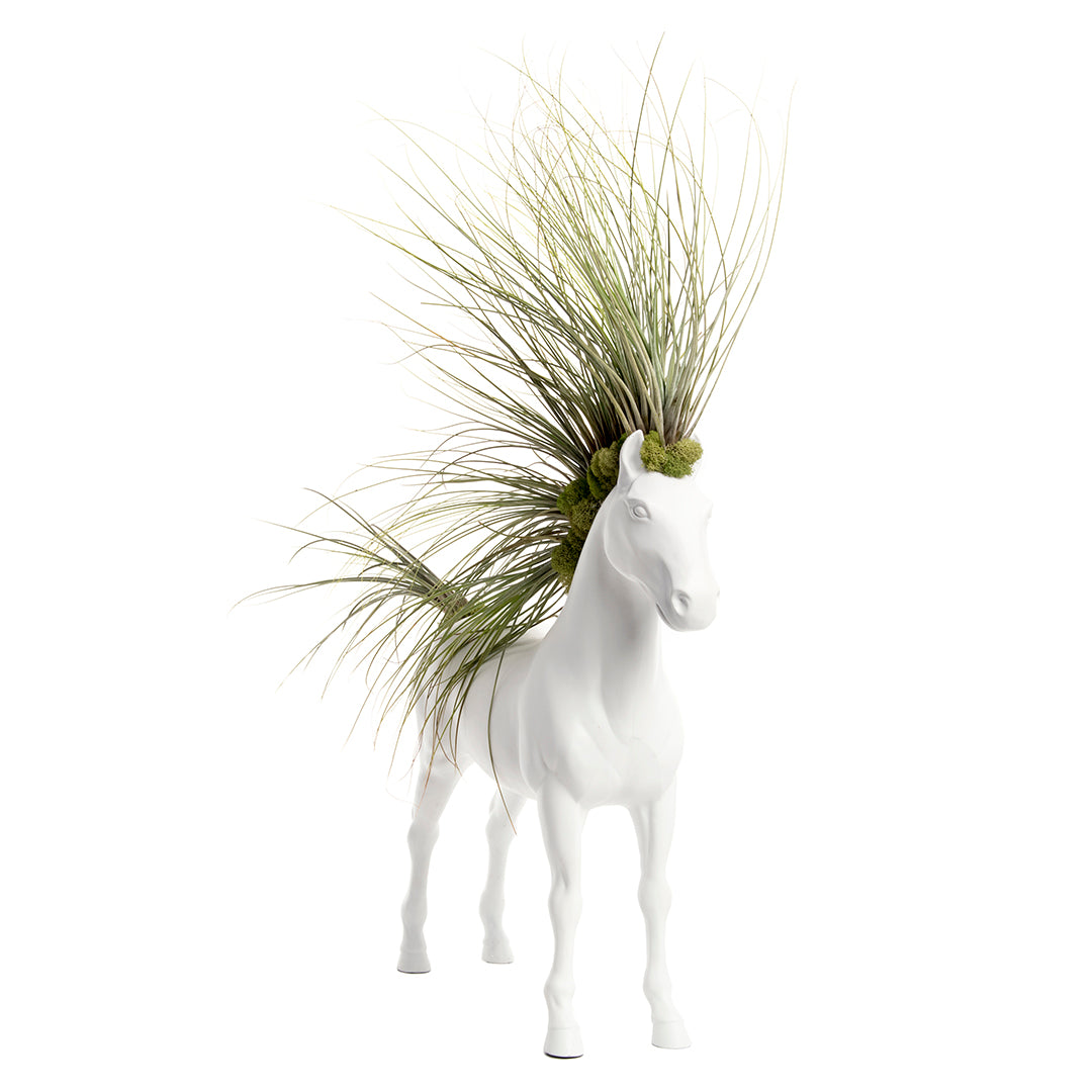 Upcycled Toy Horse Figurine - Large Standing - Juncea Airplants (30" H x 20" W)