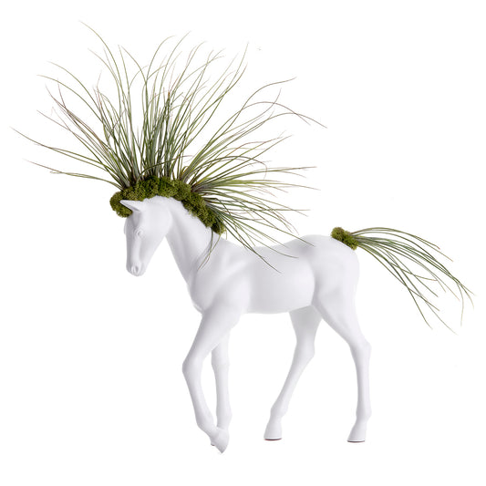 Upcycled Toy Horse Figurine - Small Walking - Juncea  Airplants (20" H x 11" W)